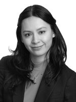 Susana J. Lum Real Estate Attorney Sherin and Lodgen LLP Illinois