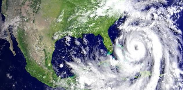 14 Key Steps to Hurricane Recovery