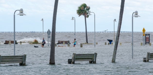 Essential Resources for Post-Hurricane Repair and Recovery