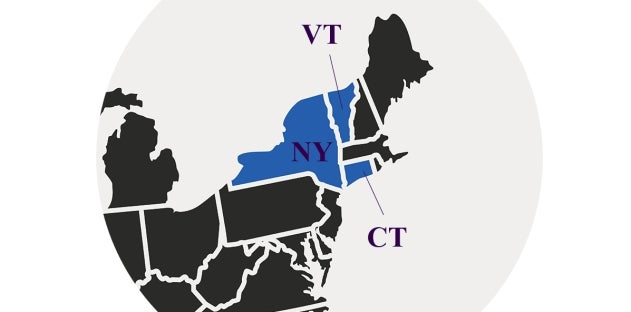 Second Circuit Reading of VPPA