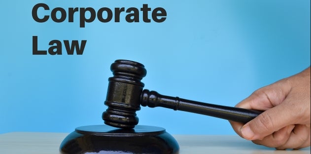 SB 21 reshapes Delaware corporate governance laws