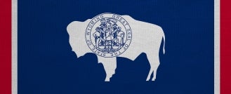 Wyoming State-Issued Stable Token