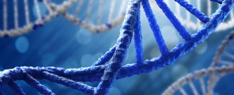 Labor and Employment Genetic Information