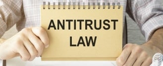 AI Antitrust Landscape 2025