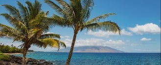 Hawaii Court on Pollution Exclusion in CGL Case