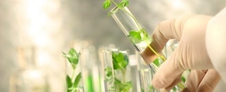 International Organization for Standardization (ISO) Nanotechnology