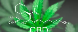 Failed CBD Drug Test Employment Termination