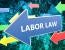 Impact of Chevron Doctrine Overruling on Labor Laws