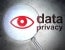 U.S. State Consumer Data Privacy Laws