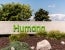 Court reviews Humana’s challenge to class methodology