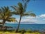 Bid Protests in Hawaii