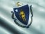 Massachusetts Risk Bearing Entity Requirement