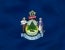 Maine Medical Debt Reporting