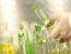 Domestic Bioeconomy and Competitive Posture