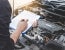 EU reconsiders 2035 internal combustion engine ICE ban