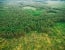 Timber Trafficking Fisheries Enforcement