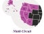 9th Circuit Upholds Converse’s Win in CIPA Chat Case
