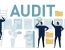 Workplace Generative AI Audit