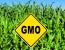 NEPA review for modified organisms not deemed plant pests ends