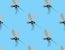 EPA seeks expert reviewers for GE mosquito panel