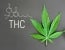 NC High Council on Cannabis