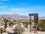 Western Joshua Tree Conservation Plan Approved