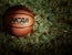 College Sports Commission NIL Collectives