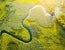 Florida's Future of Wetland Development