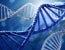 Labor and Employment Genetic Information