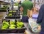 Extended Producer Responsibility in Food Packaging 