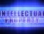 Customs Intellectual Property Rights