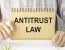AI Antitrust Landscape 2025