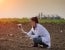Managing Contaminated Soil