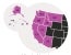 Ninth Circuit Affirms Dismissal of Securities Fraud Suit