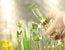International Organization for Standardization (ISO) Nanotechnology
