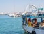 FDA Fish Seafood Regulations Short Weighing