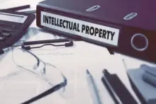 IP Litigation webinar
